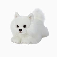 White Pomeranian