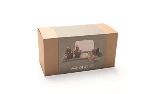 Dantoy Green Garden Mini Greenhouse Set, Age 2+ Years, A Mini Greenhouse Kit that allows children to grow - Image 4