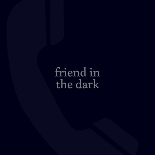 Friend In The Dark cover art