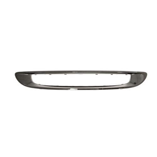 Ras Ricambi Auto Store Cornice Griglia Verniciata Grigia Compatibile con Mercedes Smart Fortwo Dal 03-2007 Al 12-2012 - Alta Qualità