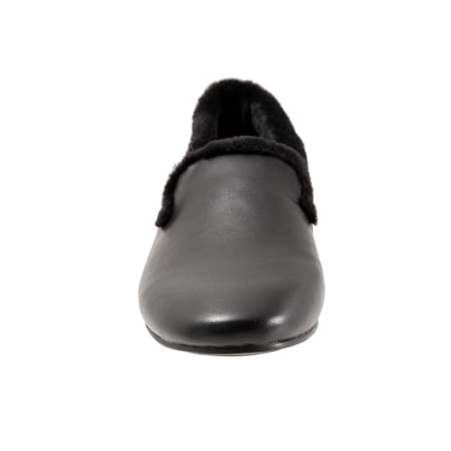 Image of Trotters Glory