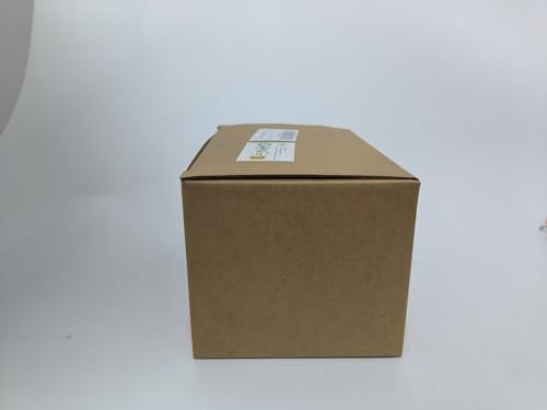 PROW® Garten-Deko: 5 Bunte Metall-Ameisen, Ca. 10 Cm, Für Innen & Außen, Handbemalt, Wetterfest