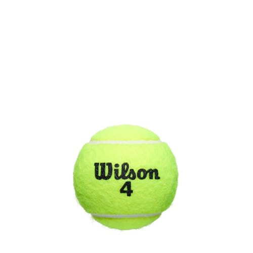 Image of Wilson Roland Garros Clay Tennis Ball - 3 Ball Can