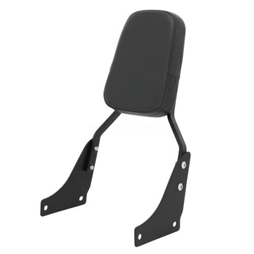 Coussin Dossier de Moto VT1100 pour Voyager Confortablement en Shadow Tour