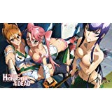 297 Highschool of the Dead PLAYMAT INCLUDES ONE EXCLUSIVE GUARDIAN PLAYMAT TUBE - CUSTOM PLAY MAT ANIME PLAYMAT