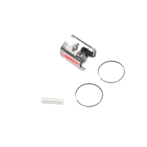 Piston 47 mm de haute précision avec axe 10 mm pour SR 50 AC 2T