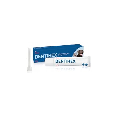 Dentisept Zahnpasta für Katzen und Hunde, 20 g