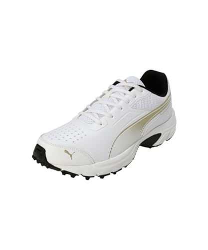 Puma Mens Cricket Power 2.0 Cricket Shoe