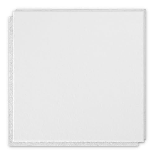 Washable White Mineral Fibre Ceiling Panels - 12