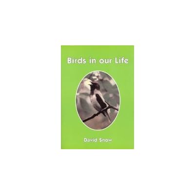 Birds in Our Life