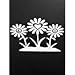 Peace Sign Daisy Flowers Hippie Vinyl Decal Sticker|WHITE|Cars Trucks Vans SUV Laptops Wall Art|6.5" X 4"|CGS787