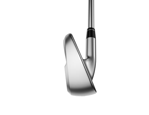 Callaway Apex AI300 Iron
