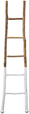 Creative Co-Op Dipped Decorative Wood Ladder, White