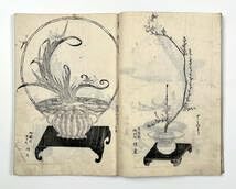 美品 江戸中期 手書き華道手本巻物◆三雅流挿花法式図（華道/いけばな）「遠州流」 Amazon.co.jp: 希少 1700年頃（江戸中期） 手書き華道手本巻物三