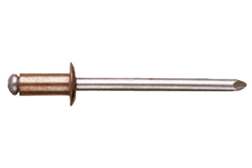CoFan 07164012 - Pack of 1000 Rivets (Steel, 4 X 12 mm)