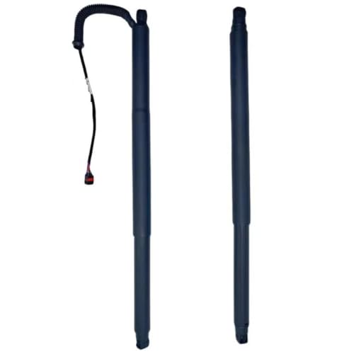 Jambe de force hydraulique de coffre W166 Reparez le levage electrique en panne 1668901130