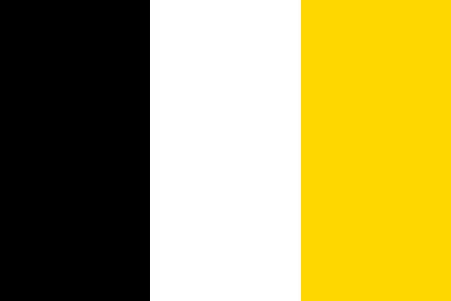 Drapeau d Arcachon grand format paysage 1.35m² pour mât extérieur
