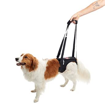 HAPPY PET Lifting Harness for Pets Dogs Adjustable Straps Detachable Fleece, Dog Support Harness, Pet Walking Aid Lifting Pulling Vest Sling Support Rehabilitation for Old & Injured Dogs (X Large) (B097XYMTHK) Amazon Price History, Amazon Price Tracker