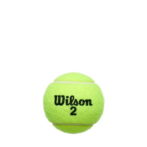 Wilson Offizielle Roland Garros Tennisbälle, Tennisballdose á 4 Bällen, Für Sandplätze geeignet, WRT115000, Yellow