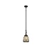 Innovations 206-BAB-G146-LED 1 Light Vintage Dimmable LED Mini Pendant, Black Antique Brass