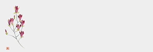 򎽊 ㎿u}bg ؘ@(N) 100 B-27-6