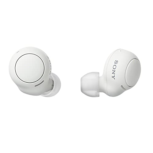 Sony WF-C500 Truly Wireless in-Ear Bluetooth Earbud Headphones with Mic and IPX4 Water Resistan…