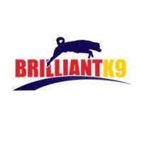 brilliantk9