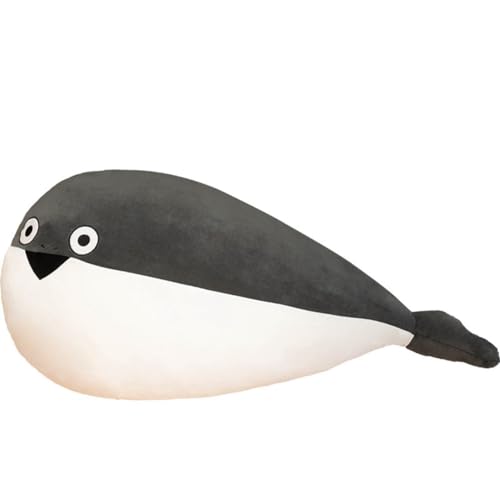 �ʂ������ �T�J�o���o�X�s�X ������ �Ñ�? �ʔ��� ���킢�� �傫�� ���G��ǂ� �N�b�V���� ���� �Y���Q �Q������ �˂ނ˂� ���炩 ���Q�� �O�b�Y �\�t�g �����܂��� �w���� �O���[ �N�o�����^�C�� 110cm �n���E�B�[�� �N���X�}�X �a����