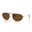 Gunmetal/Brown Polarized