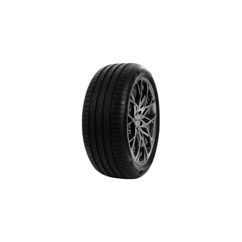 Gomme Estive 215 65 R16 102H Xl Delinte Ds2