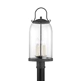 Troy Lighting P5187-FRN