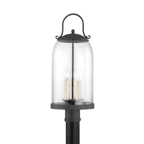Troy Lighting P5187-FRN