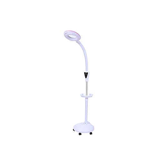 LDH Ajustables Salón de Belleza LED Tatuaje lámpara Lupa uñas ceja luz fría lámpara de pie con USB,