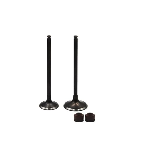 Joints d'étanchéité de soupape moto pour AX-1 NX250 XL250 1 paire admission échappement