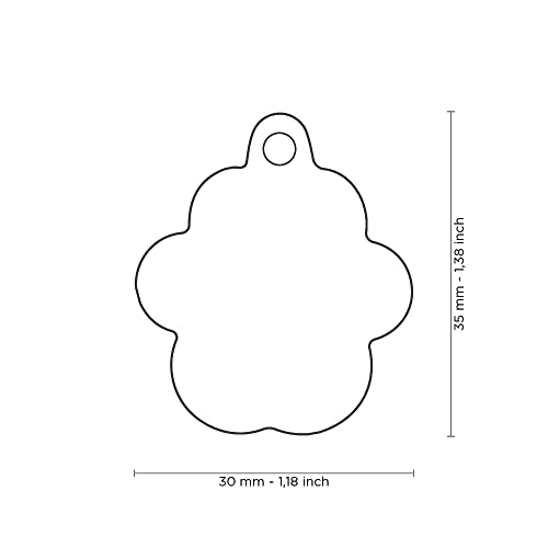 MyFamily Medaglietta per Cane Personalizzata, a