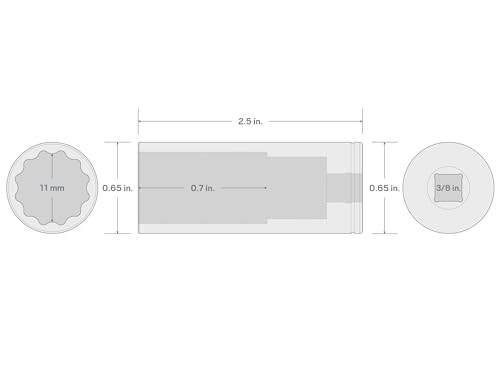 Image of TEKTON 3 /8 Inch Drive x 11 mm Deep 12-Point Socket | SHD13311