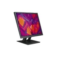 IBM ThinkVision L191p - Flat panel display - TFT - 19" - 1280 x 1024/76 Hz - 0.294 mm - DVI, VGA (HD-15) - business black - TopSeller