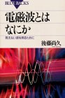 電磁波とはなにか―見えない波を見るために (ブルーバックス) 電磁波とはなにか―見えない波を見るために (ブルーバックス)