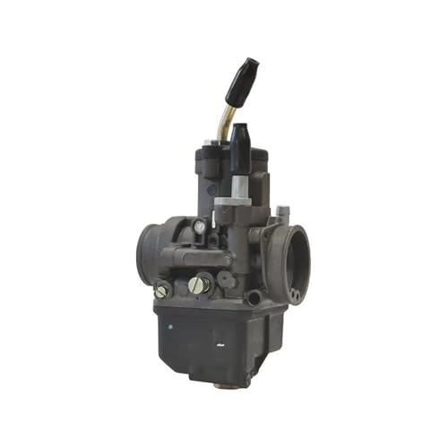 Carburateur de 30 mm pour moto et scooter à moteur 4 temps de 200 à 300 cc