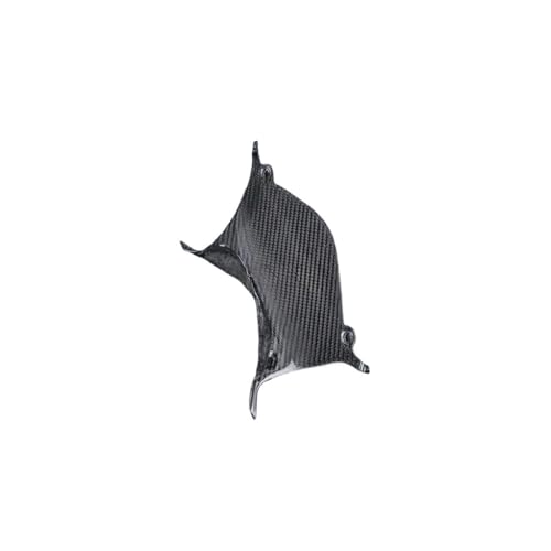Panneau couverture intérieure carbone R1 pour vos sorties piste