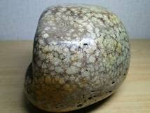 錦石 花紋石 菊紋石 ジャスパー 菊花石 : 原石 津軽・花紋1.6kg 鑑賞石