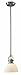 Canarm IPL177B01BN Rowan 1-Light Mini Pendant, Brushed Nickel