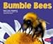 Bumblebees (Bugs, Bugs, Bugs!)