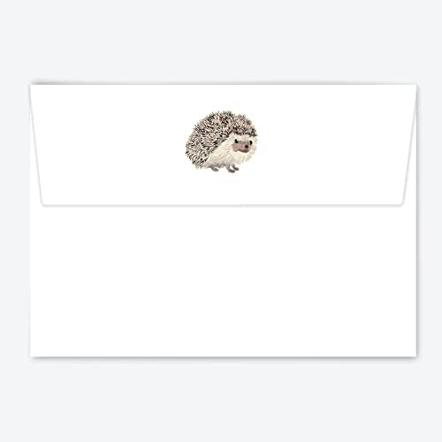 Me Loovely Hedgehog Letter Writing Papers with Envelopes Stationery Writing Supplies A5 Size Paper Set for Office Home & School | Christmas Gifts (10 Letters and 10 Envelopes with Gift Envelope)