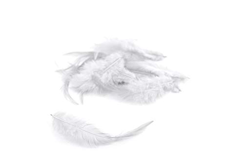 3g Hahnenkreuz Federn ca. 8-13cm (weiß 029) // Dekofedern Bastelfedern Federn Hahn Natur Schmuckfedern Vogelfedern Hahnenfedern