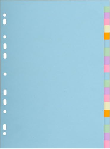 Intercalaire carte 170g Exacompta Forever A4 à 20 onglets pour grand archivage