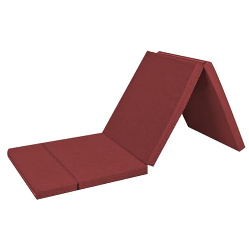 Duojidianzi �G�N�T�T�C�Y�}�b�g �}�b�g���X ��܂肽���݉\ �}�b�g���X �O�܂� �Ȗ��ގ��[�U�^��� ����5cm���e���ŉ��K �������� ���@�\ �������O�p ���x �ݐQ �̑� �t�B�b�g�l�X ���K (180*60*5cm(2��),C)