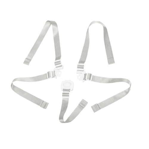 EPIGEIST 5 \ xg_jo[T`Chn[lXyʌgїpxr[`FApXg KtBbgOoΉ