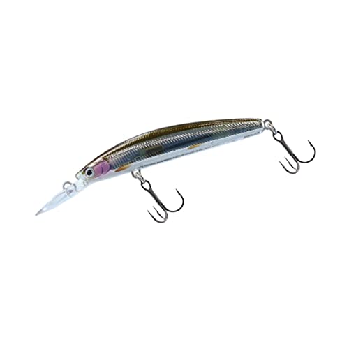 _C(DAIWA) oXA[ XeB[Y_uNb` XTro glJTM