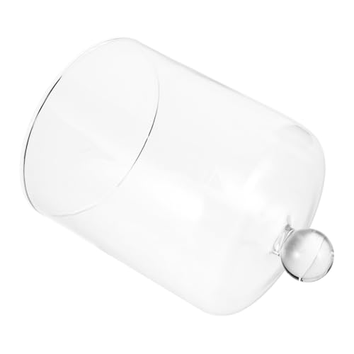 Diseño Estético de Cúpula de Vidrio Transparente para decoración selecta 2
